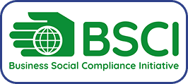 BSCI Logo